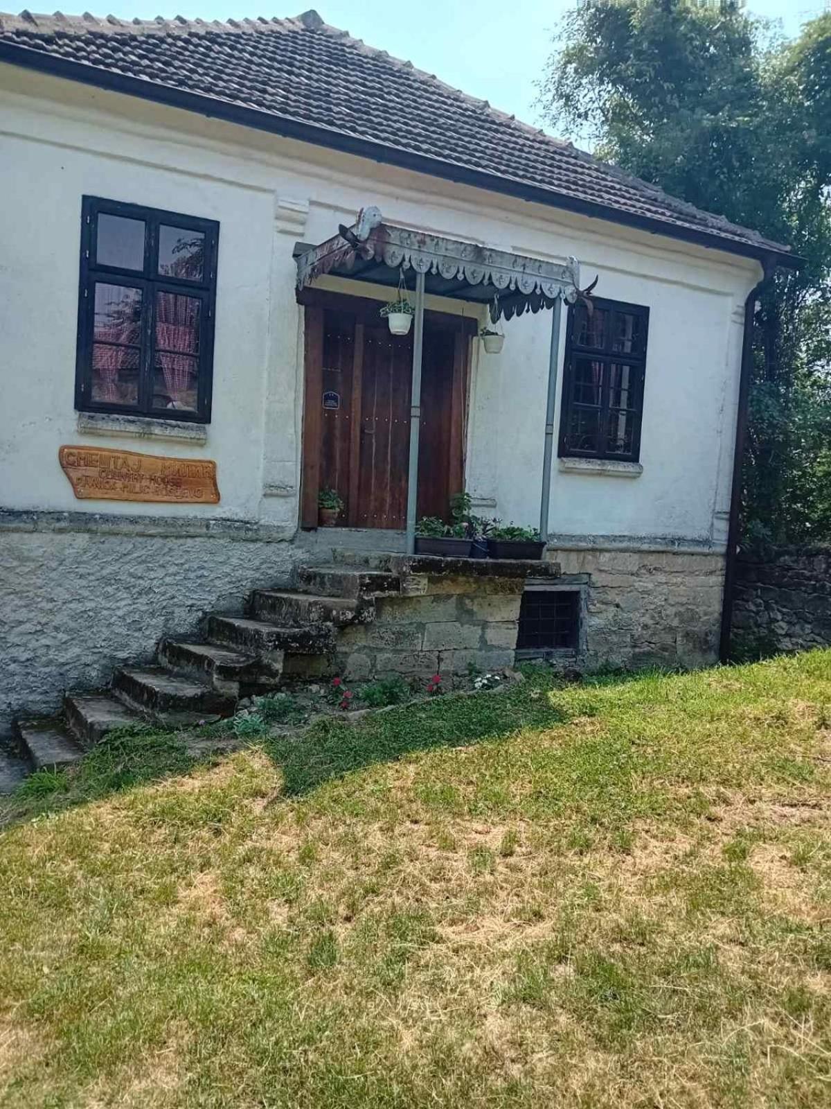 Country House Pivnica Milic Rogljevo Daire Dış mekan fotoğraf