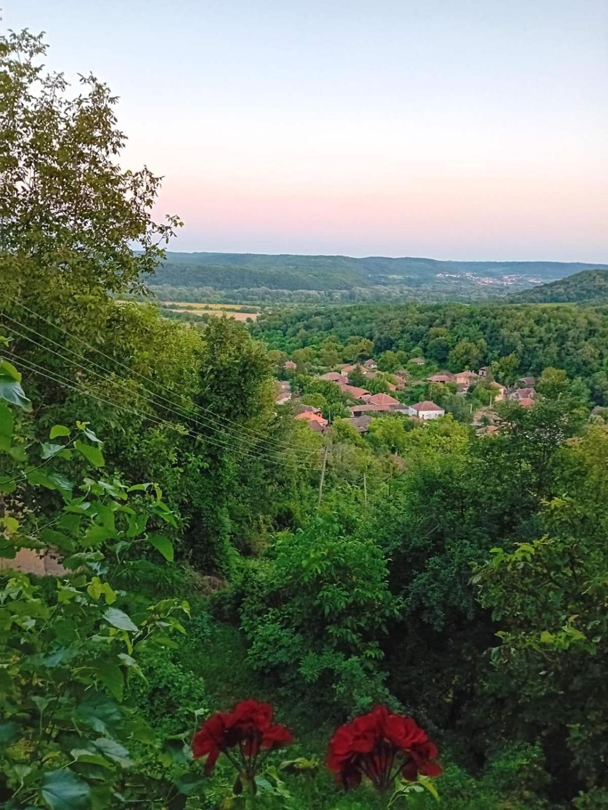 Country House Pivnica Milic Rogljevo Daire Dış mekan fotoğraf